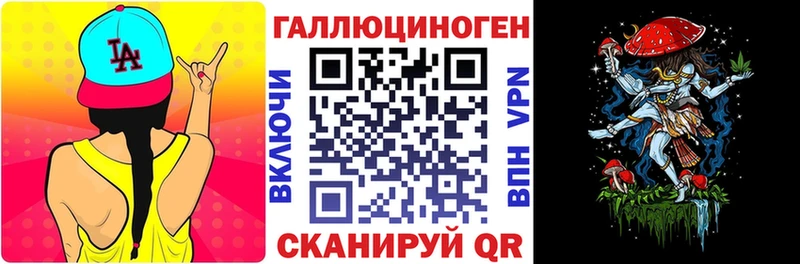 где купить   Слюдянка  Псилоцибиновые грибы Psilocybe 